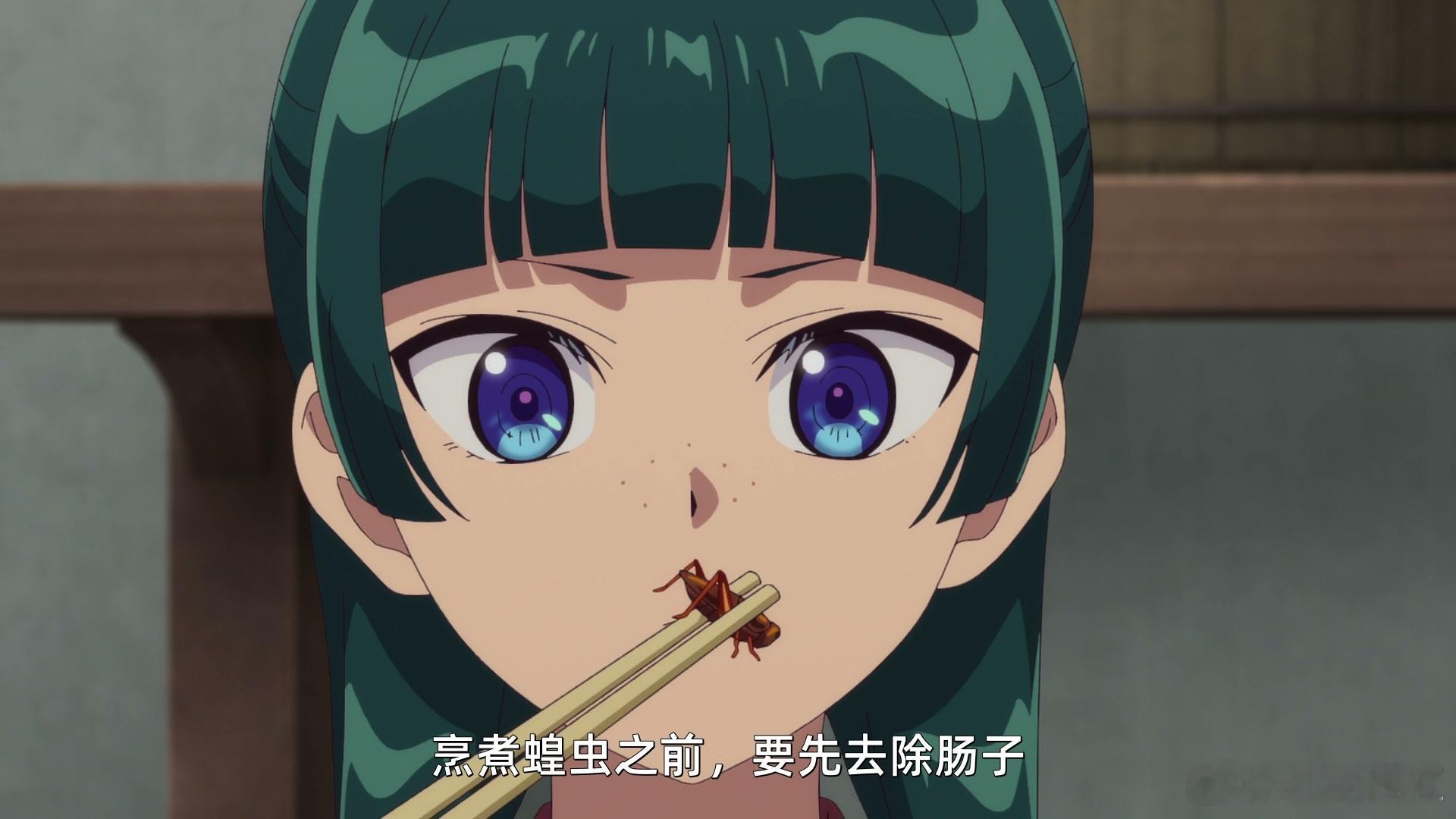 《药屋少女的呢喃》第三季开播 
故事舞台向外延伸至民间乡野与西都大地。蝗灾的阴影悄然笼罩国土，蛊惑人心的流言与假药骗局四处蔓延，一桩桩诡谲的事件接连浮现，暗藏着足以撼动社稷安定的危机。猫猫依靠自己广博的药学见识，游走在民间案件、乡绅纠纷与朝堂博弈之间，层层拨开重重迷雾。
猫猫与壬氏 ​