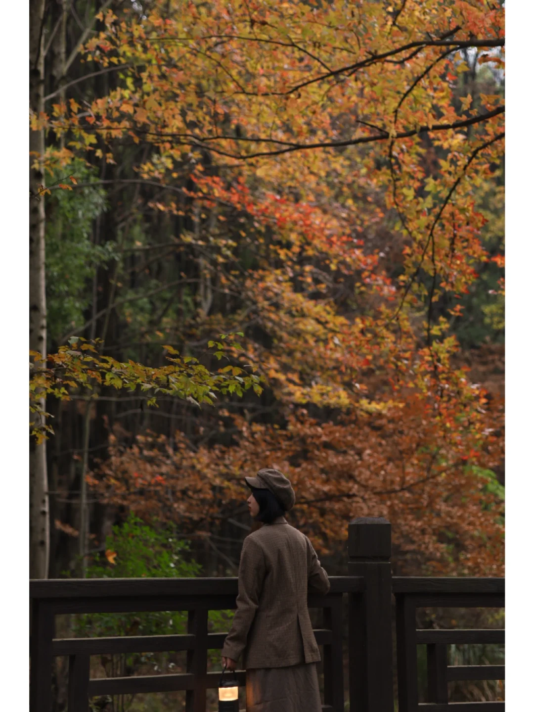 武汉居然藏着个秋色如画的秘境❗️人少免费