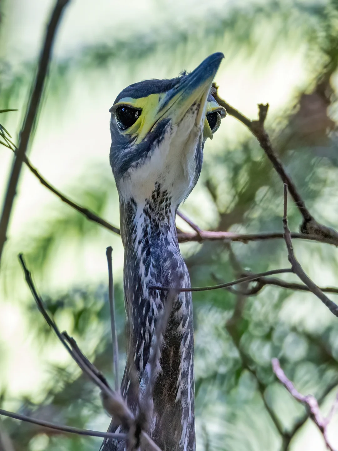 外星生物在地球的隐蔽伪装