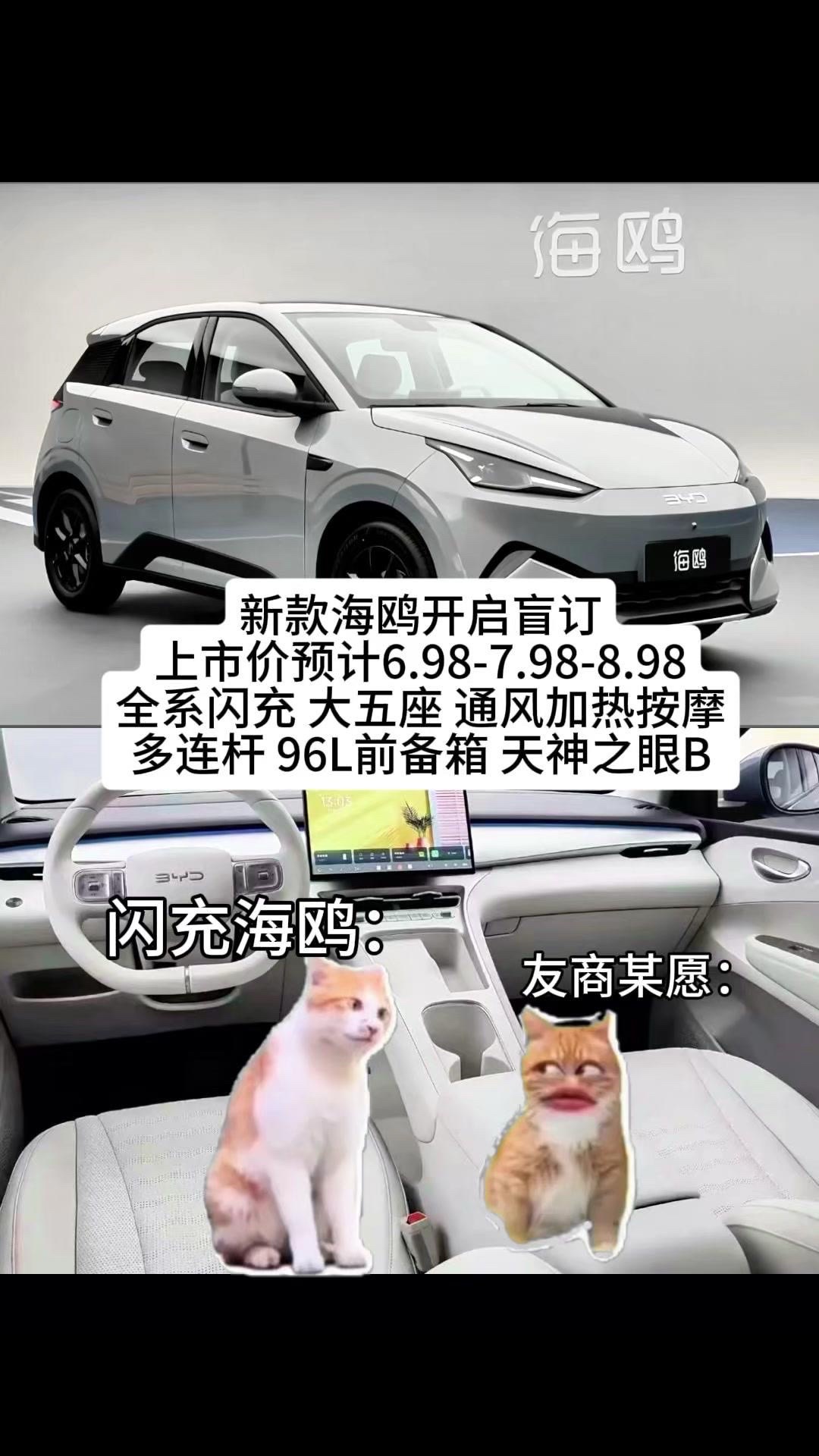 新款海鸥盲订开启，全系标配闪充
