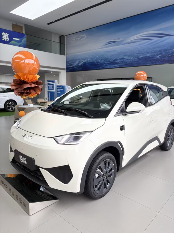 谁能拒绝一台颜值可爱的代步小车🚗
	
奶乎乎的白色车身，小巧灵动
城市通勤、买菜接娃，好开好停，停车毫无压力
	
内饰是温柔黑粉撞色💖
简约大屏，软质包覆，质感在线
坐进车内氛围感满满，真的很难不爱
	
后排空间日常家用完全够用
后备箱容积也很可观，购物、放行李箱都ok
	
✅纯电代步，用车成本很低
日常通勤代步，电费划算，通勤代步首选
首任非营运车主享三电终身质保
	
💰几万块预算，想要一台靠谱纯电小车
海鸥真的可以来店里实地感受一下！
想了解落地价的宝子，评论扣1📩
#比亚迪海鸥 #比亚迪 #海鸥 #代步电车 #武汉买车 #几万块电车 #比亚迪海洋网 #女生代步车 #武汉比亚迪