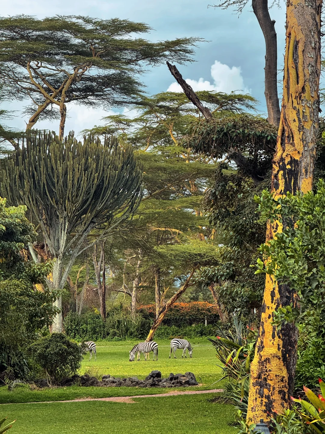 Live图的意义📸在非洲，住到了人生酒店