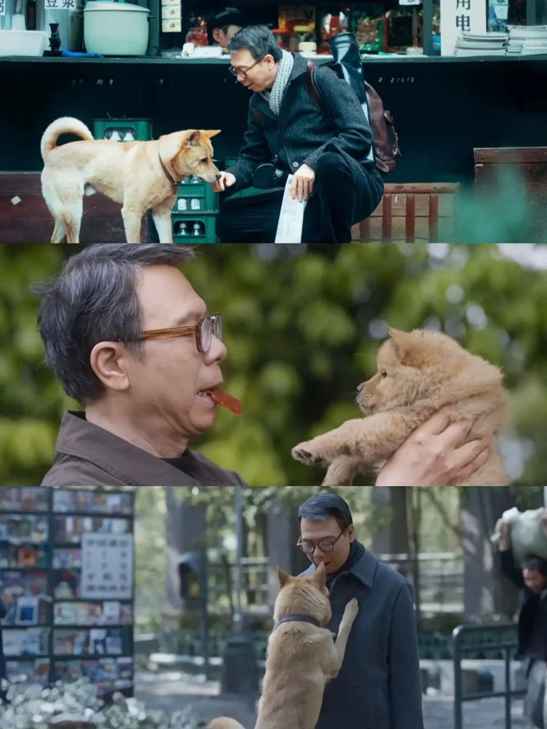 如果是等你多久都可以😭年度治愈大戏来袭