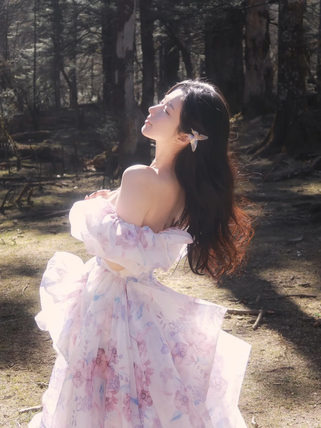 丽江｜玉龙雪山下的童话森林—云杉坪🪵