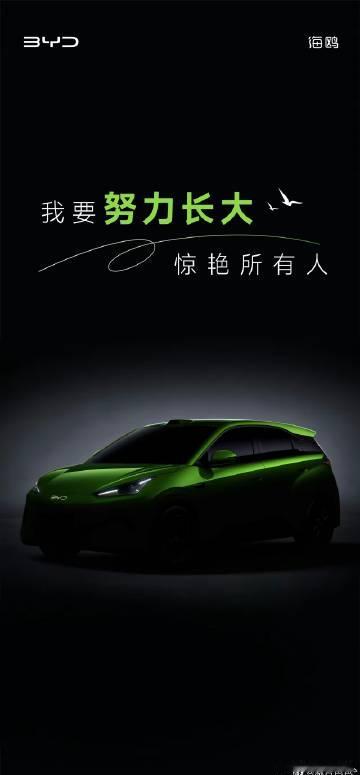 官方已经敲定啦了，咱们的小海鸥也长大了<br />加长到4.2米的新款...