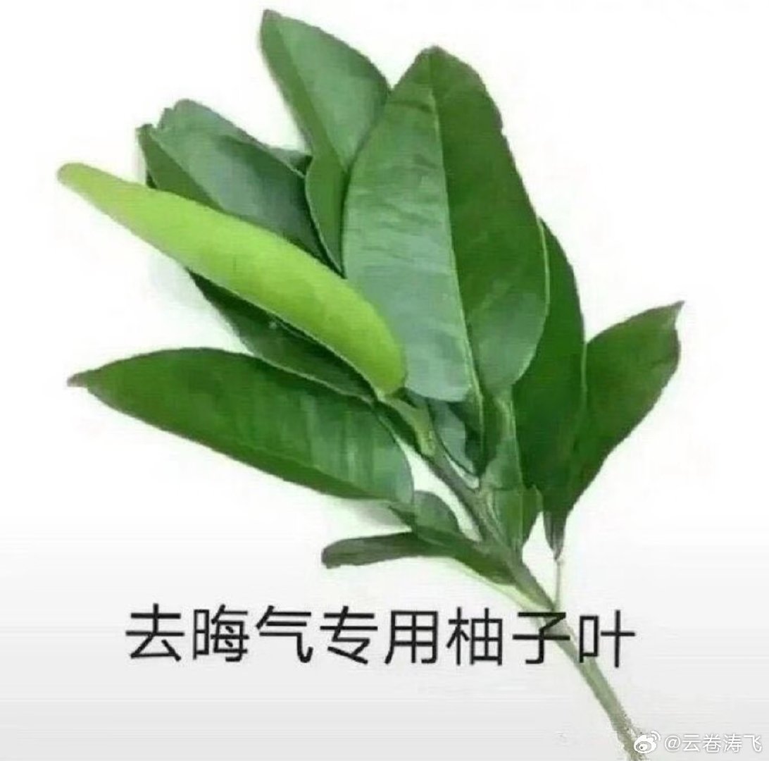 #王一博赛场车辆碰撞着火#
好无语的破CT，王一博组别冠军的ct一直被压热度，而这个和王一博无关的事故，带着王一博大名，一直在热搜高位 ​