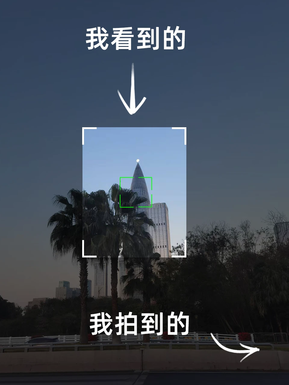 我看到的VS我拍到的|培养摄影眼03