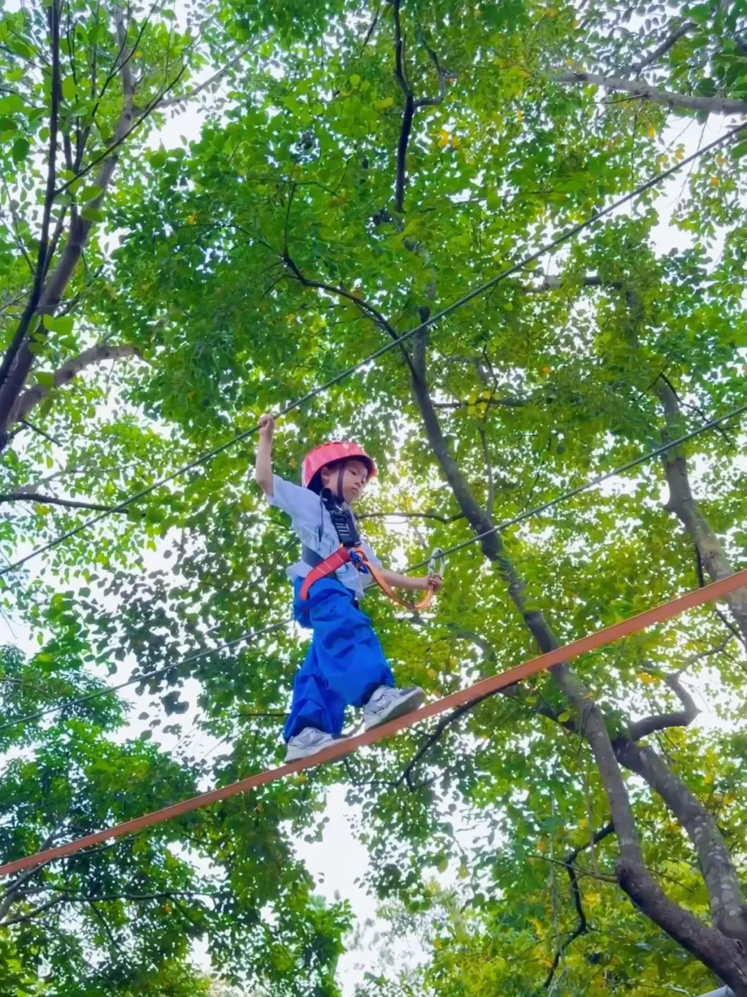 家长实名推荐❗️这户外基地太适合小学生团建