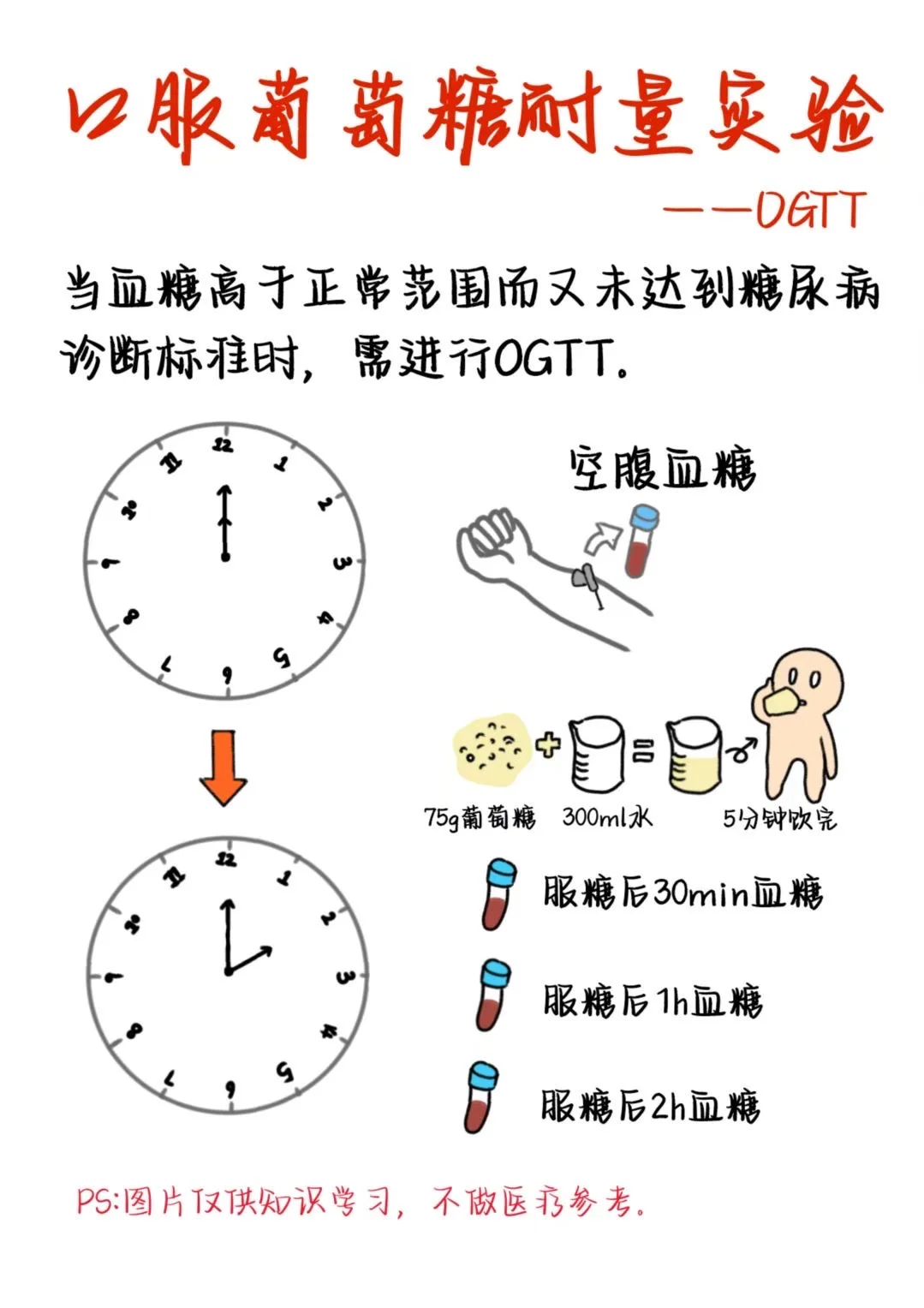 医学生笔记——口服葡萄糖耐量实验