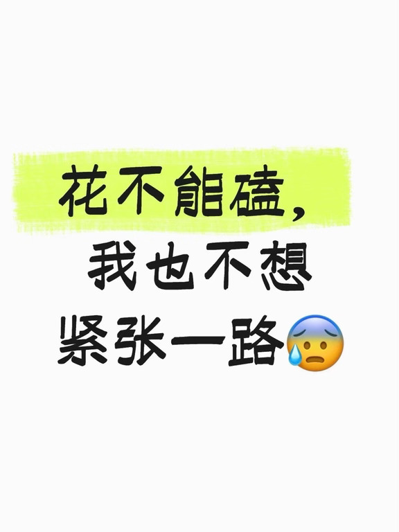 送一车花，我连开车都温柔了