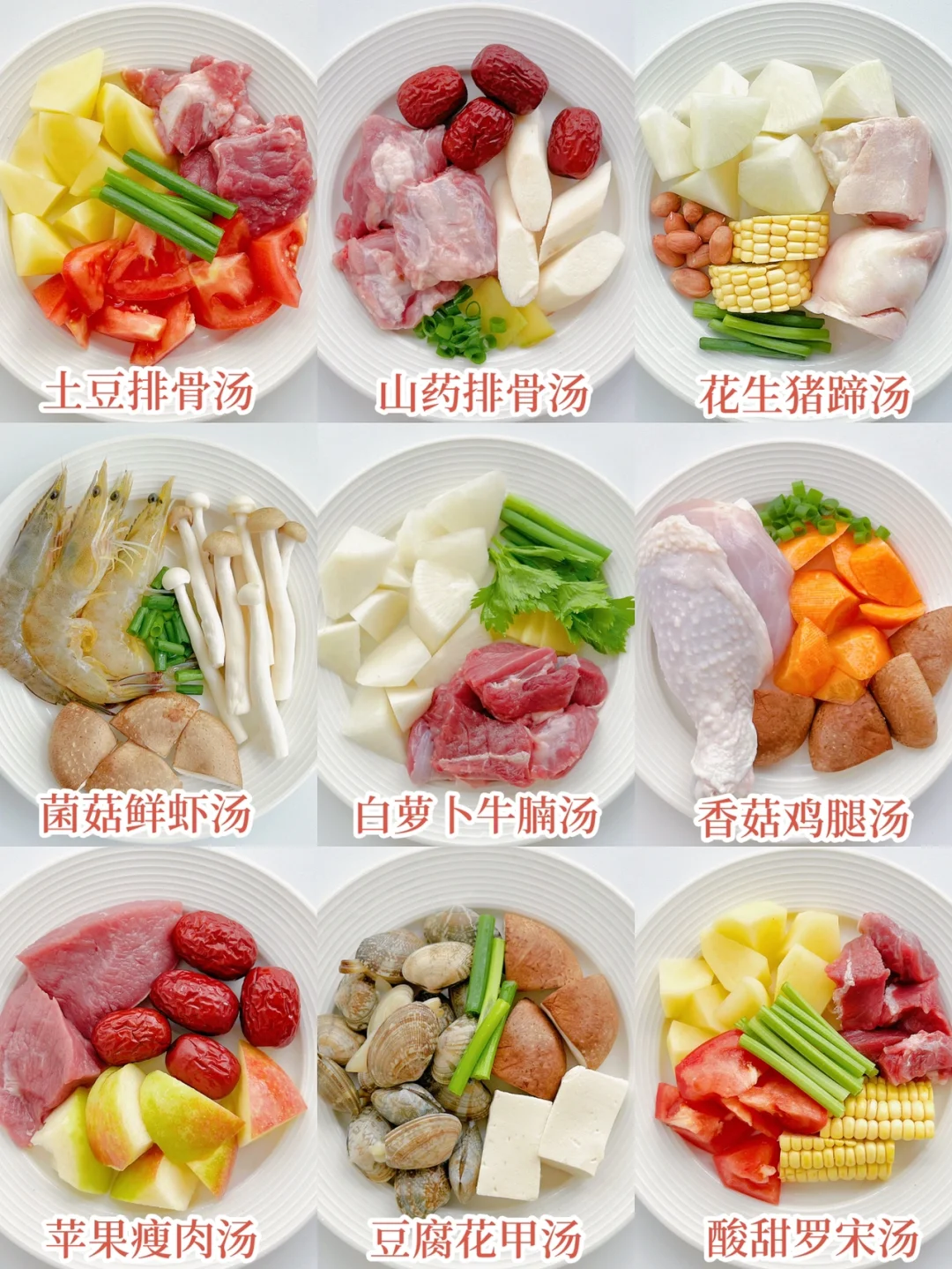 低敏营养美味炖汤不重样 | 附详细图文教程！