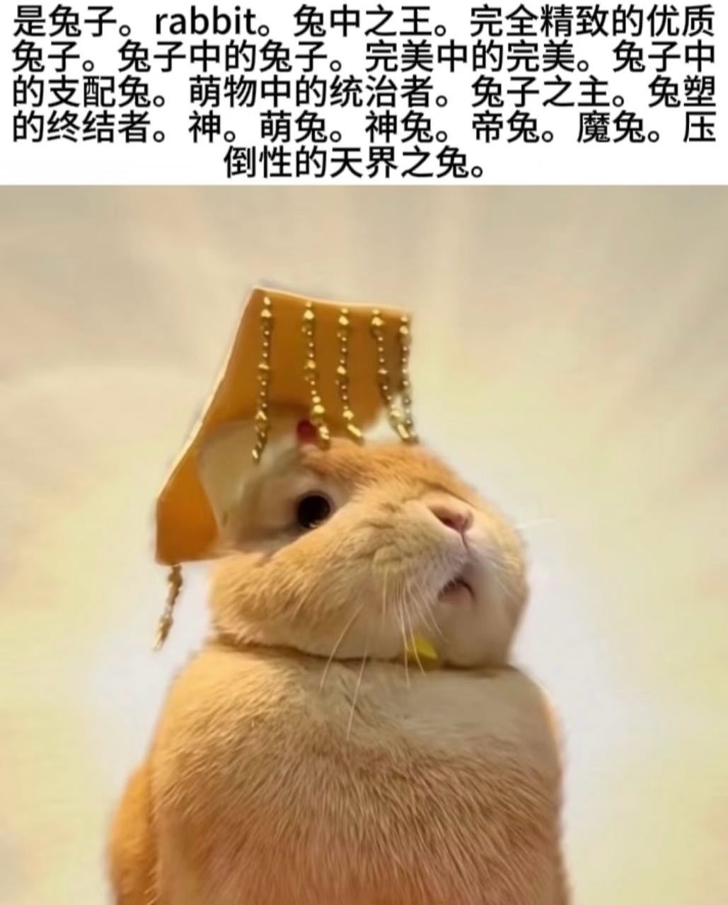 甜甜，我想求兔塑受的文[馋嘴][馋嘴]最近疯狂喜欢小兔子，兔子太萌了，可以是作者塑的兔子，也可以是读者看完觉得受很像兔子，之前看过《可以吃兔兔》很萌哈哈 ​