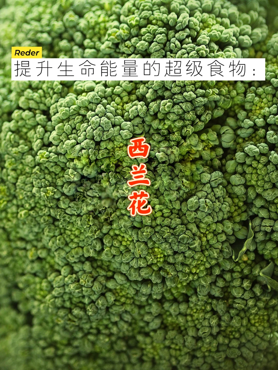 宇宙疗愈食物之：西兰花🥦