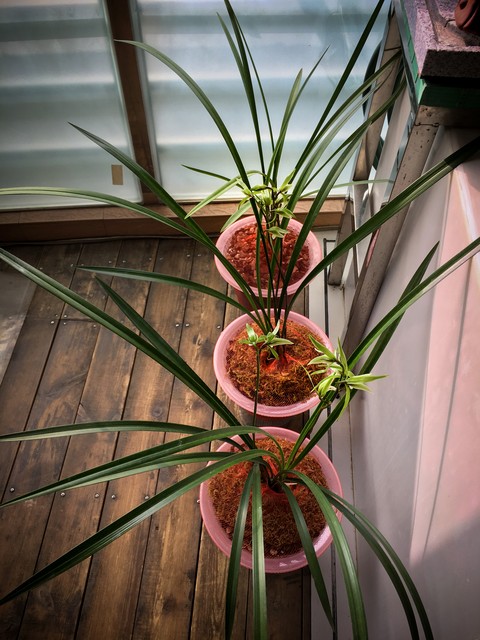 别让关心变成日常的空白：两个人若不主动维护，感情就慢慢陌生了