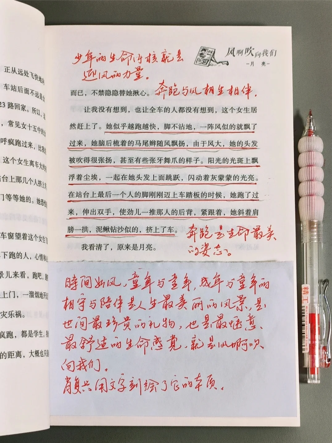 真的没办法！这些书我是闭着眼打五星！！