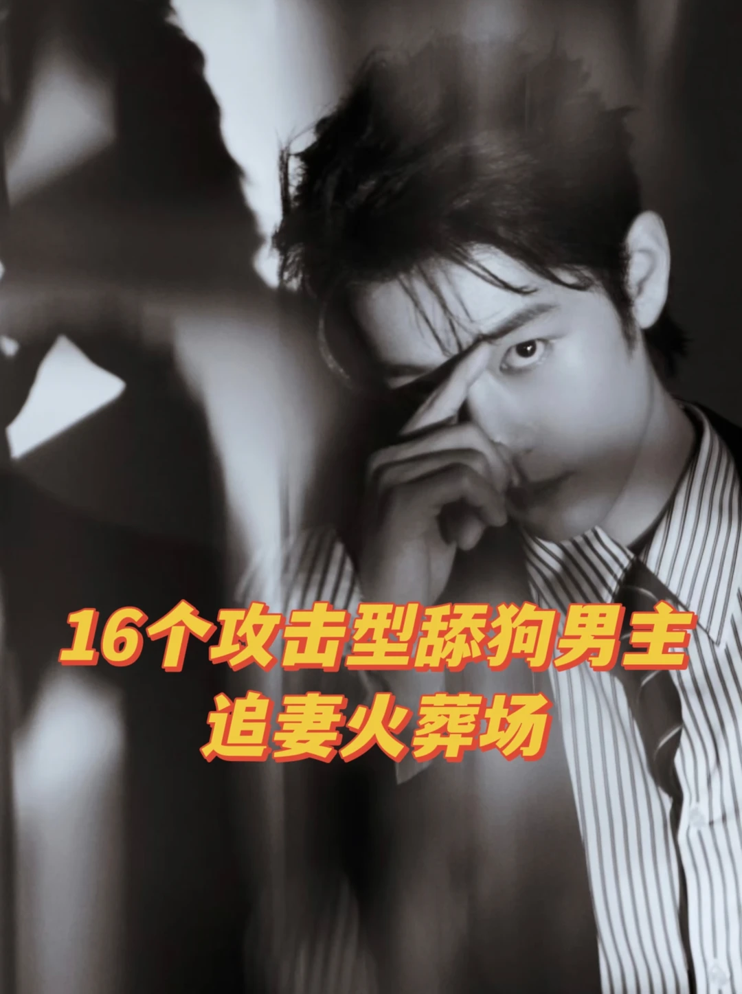 16本攻击型舔系男主，追妻火葬场的小说
