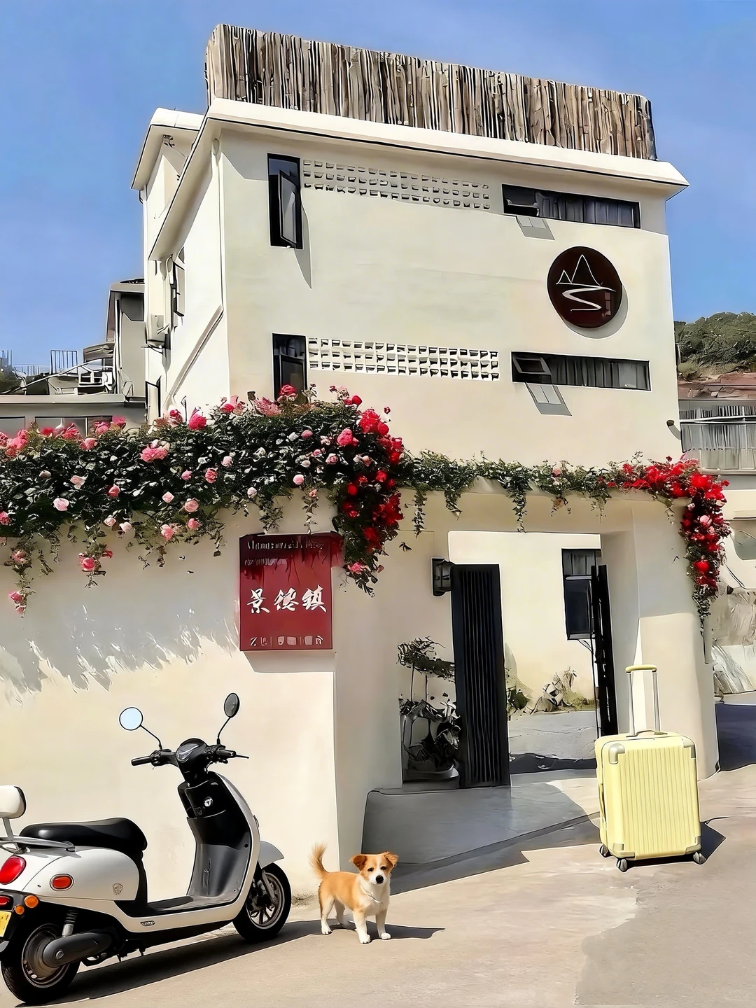 景德镇！陶溪川！160 💰独栋小院太好住了！