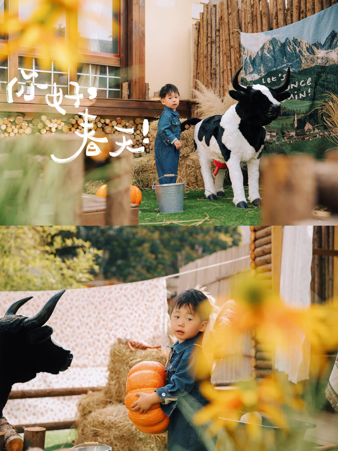 郑州儿童摄影🌿🐄春日农场里的小男孩