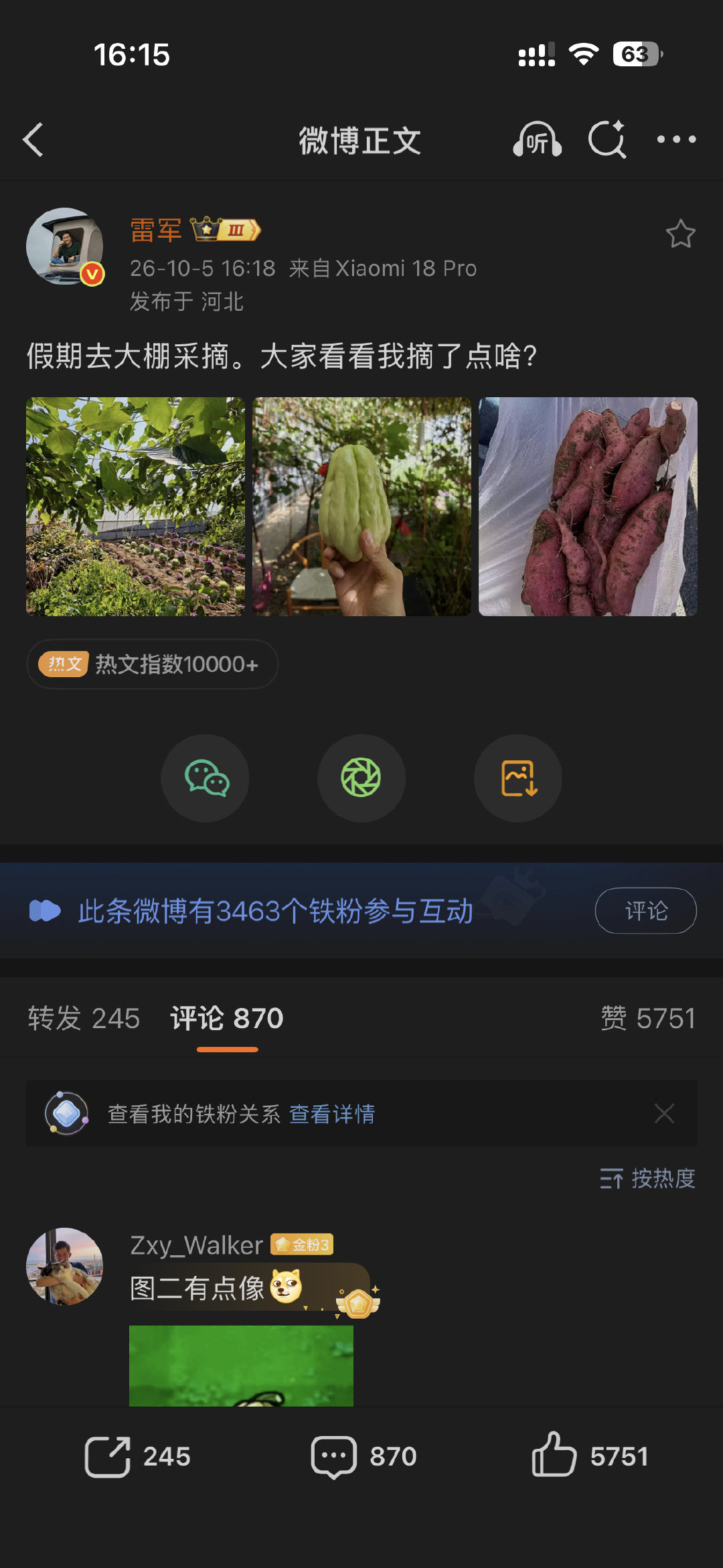 #雷军假期去大棚采摘#图二叫佛手瓜前几年老家种的有，每到结果的时候根本吃不完都送出去了，这东西得趁嫩炒菜或凉拌吃，老了就是扔

图三是必然红红薯啊，不管烤着吃还是煮汤下锅里，都是北方的好东西[太开心] ​