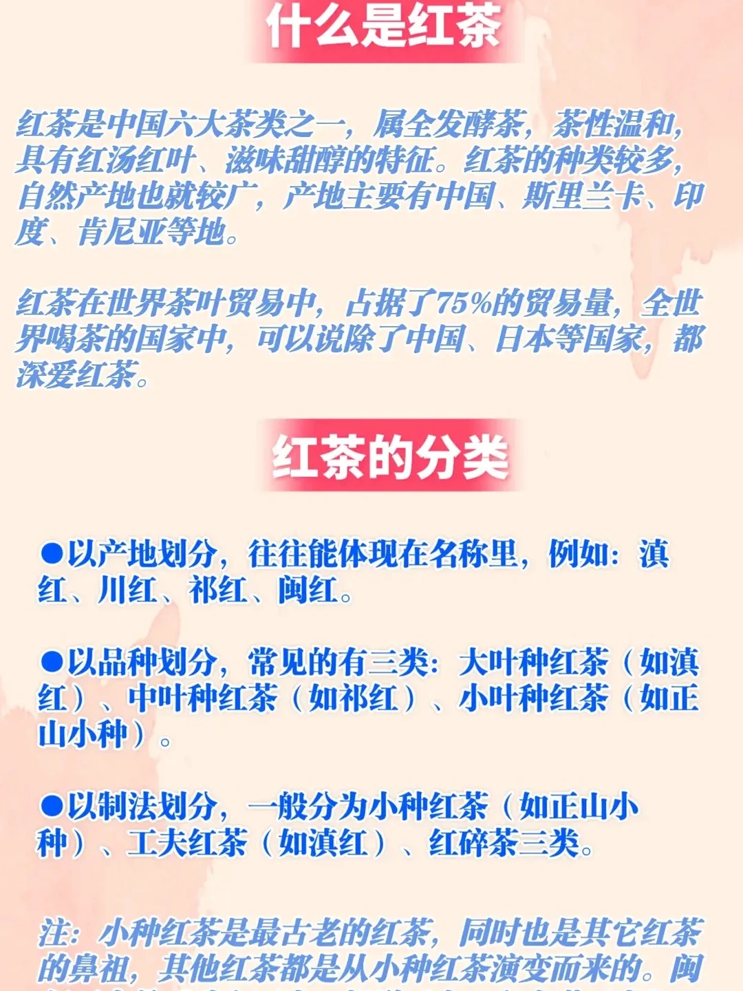 入门级丨红茶知识大全！