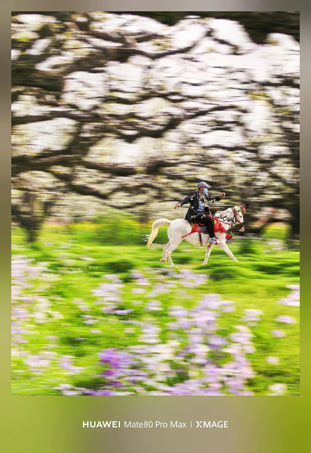 春天必看！用手机拍花我这样获得超万赞！