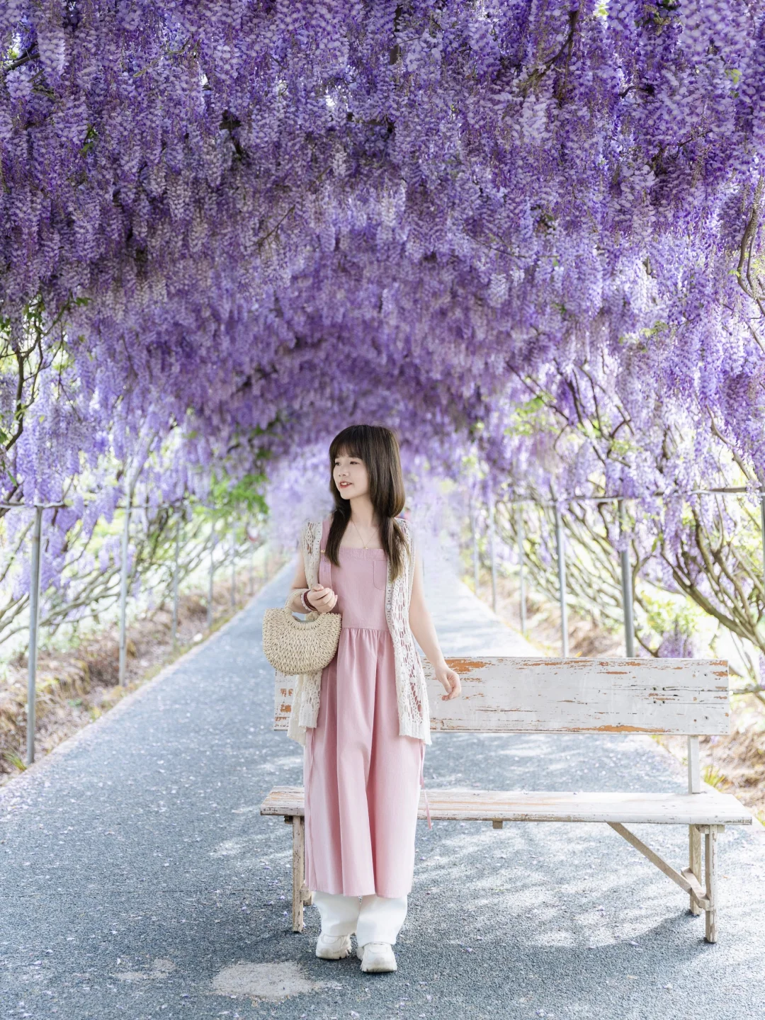 不去真的会后悔，紫藤花海天花板