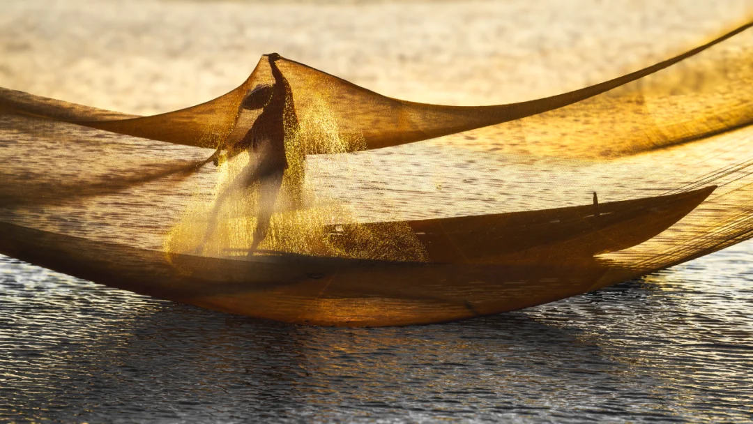 【摄影审美】摄影师Dee Potter的摄影作品