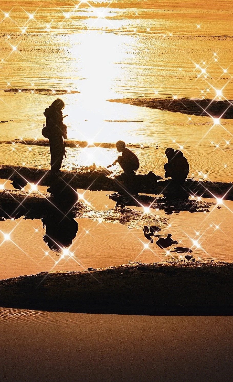 藏不住了‼️我宣布这是武汉最闪的橘色江滩