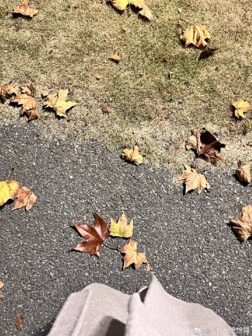 秋招算是以这种充满遗憾的方式结束了<br />也不知道是哪里有问题总之...