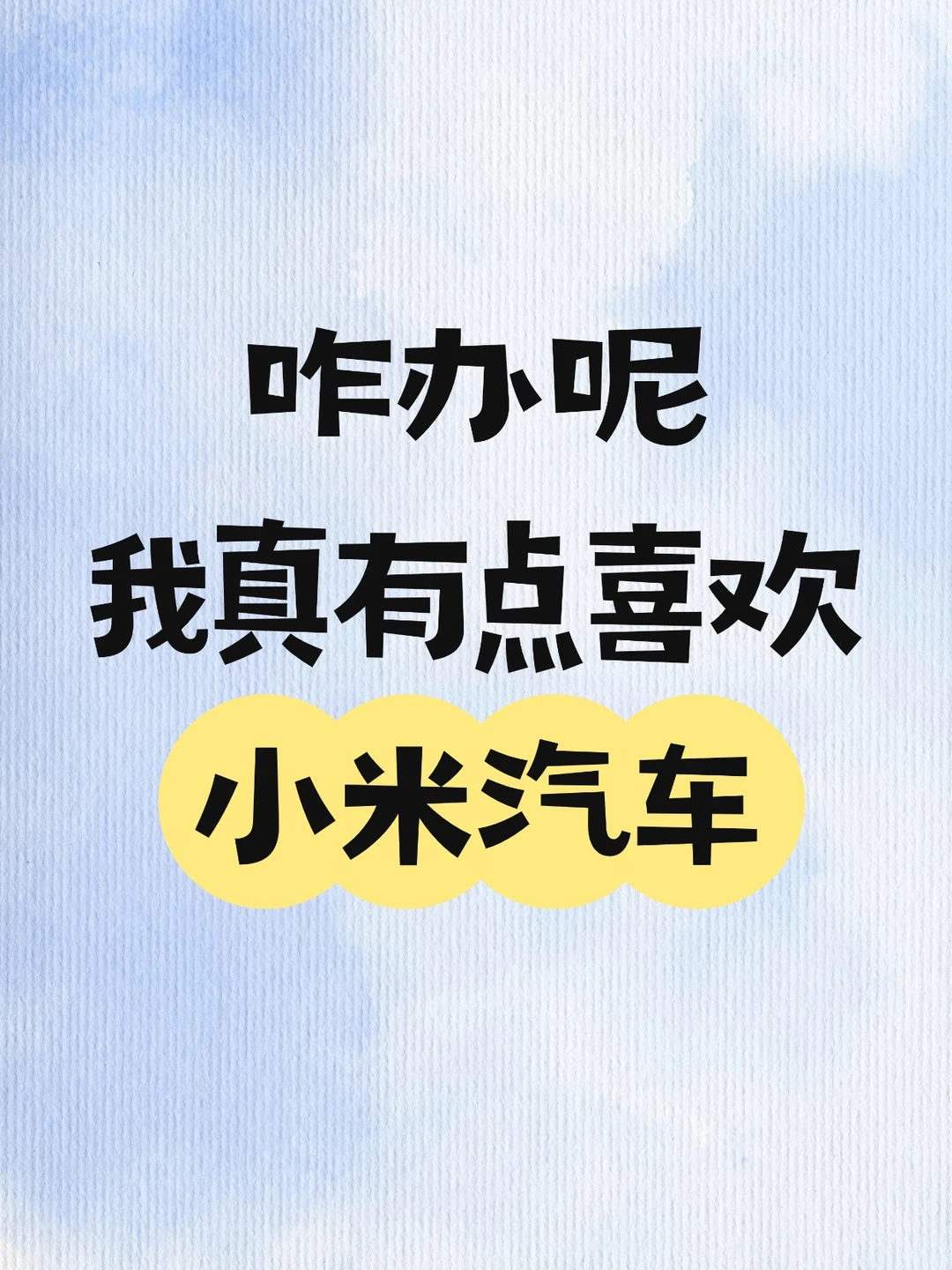 咋办、我真的很喜欢小米汽车