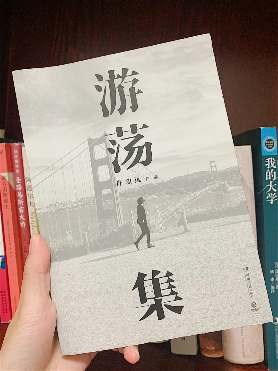 许知远的《游荡集》，带你去看世界的另一面