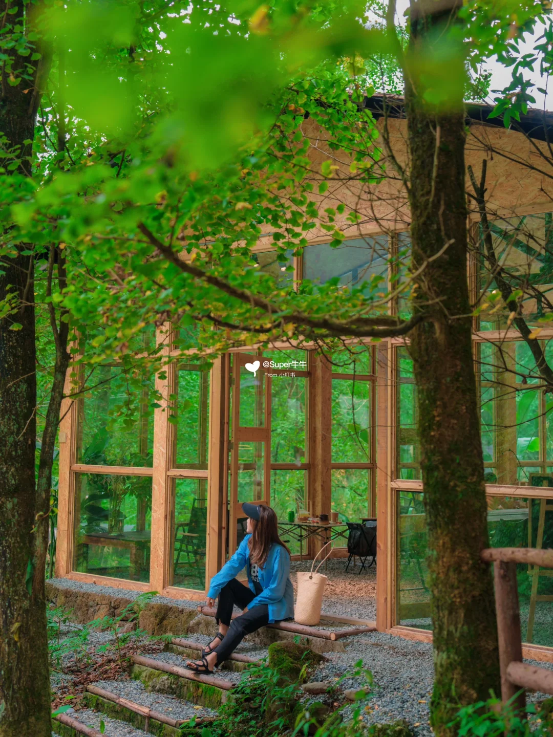 成都❗️我好像闯进了·童话里的森林小木屋🏝️