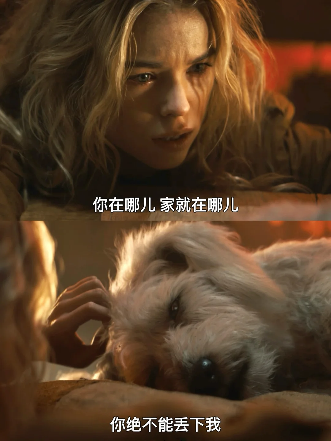 为救爱犬对抗世界‼️这部超女电影也太戳了🥺