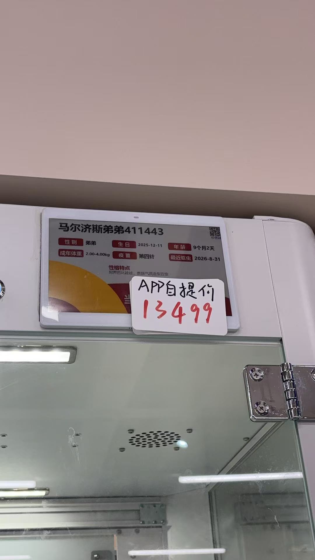 iPhone18和呆谷米你选一个 
支持彩英还是支持智秀 ​