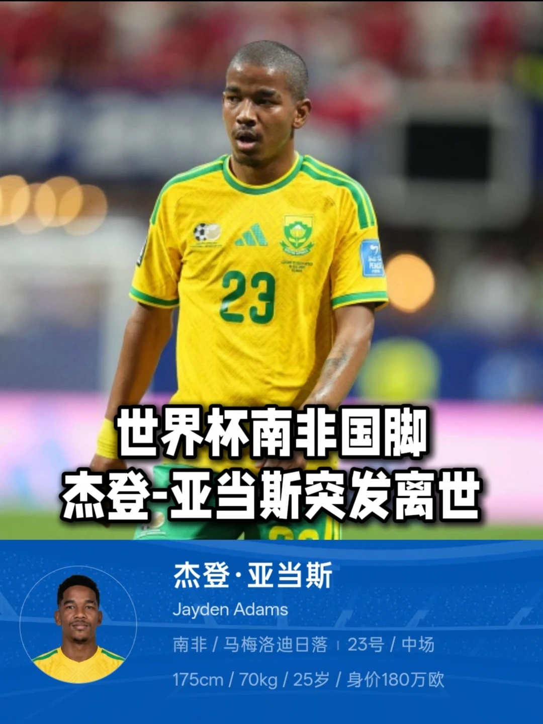 世界杯南非国脚亚当斯突发离世