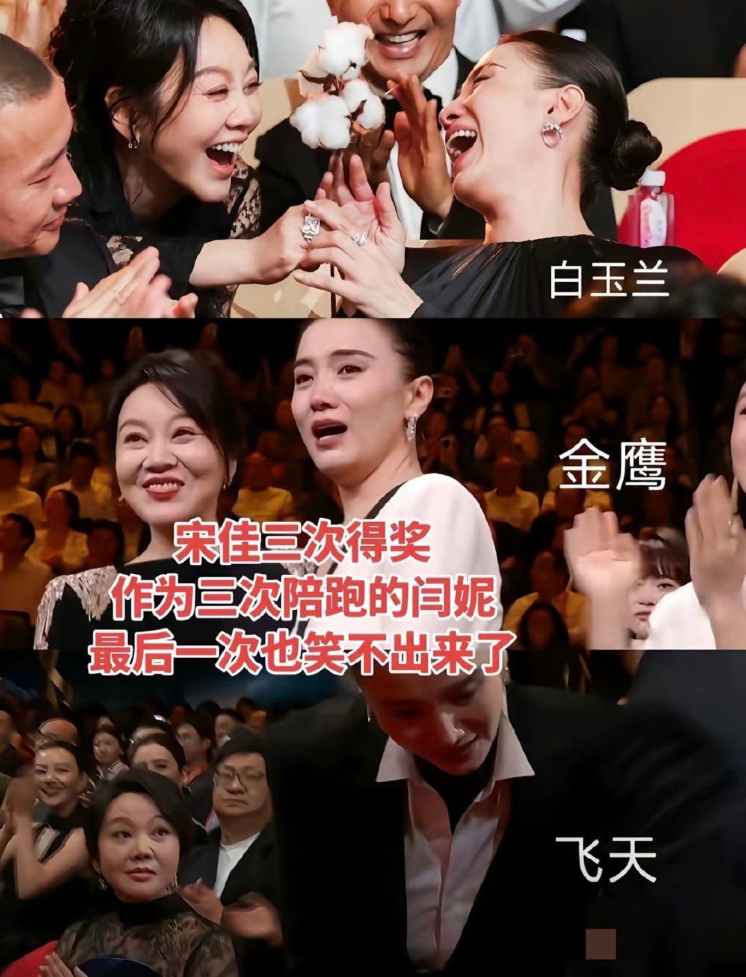 山花烂漫时拿飞天感觉没问题，小巷人家值得白玉兰，如果白玉兰给闫妮就没这么大争议了 ​
