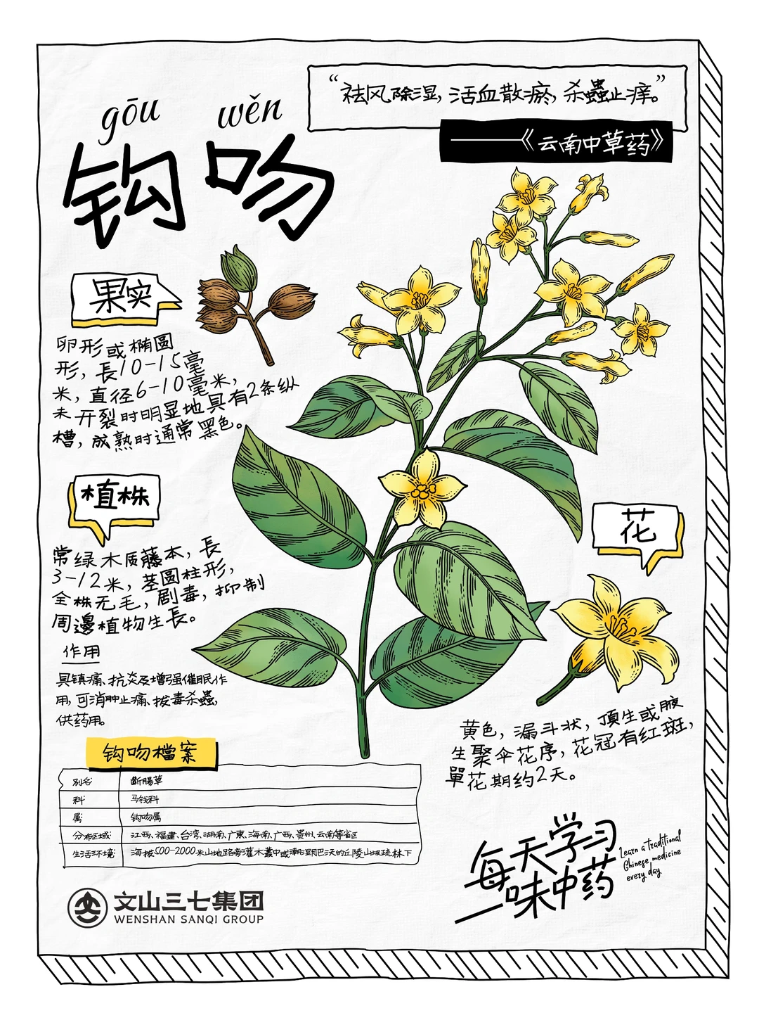 👉🏻每天学习一味中药｜钩吻