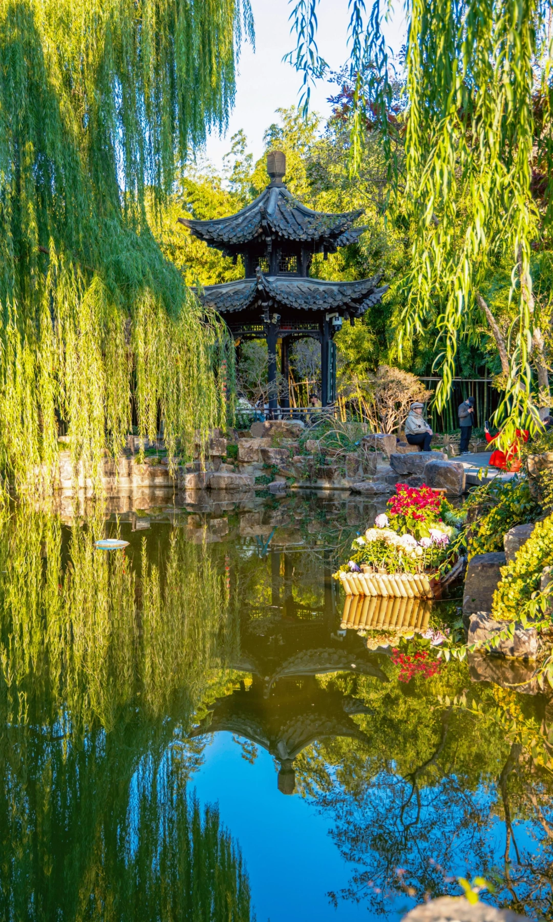 在扬州，个园还是太权威了🍁