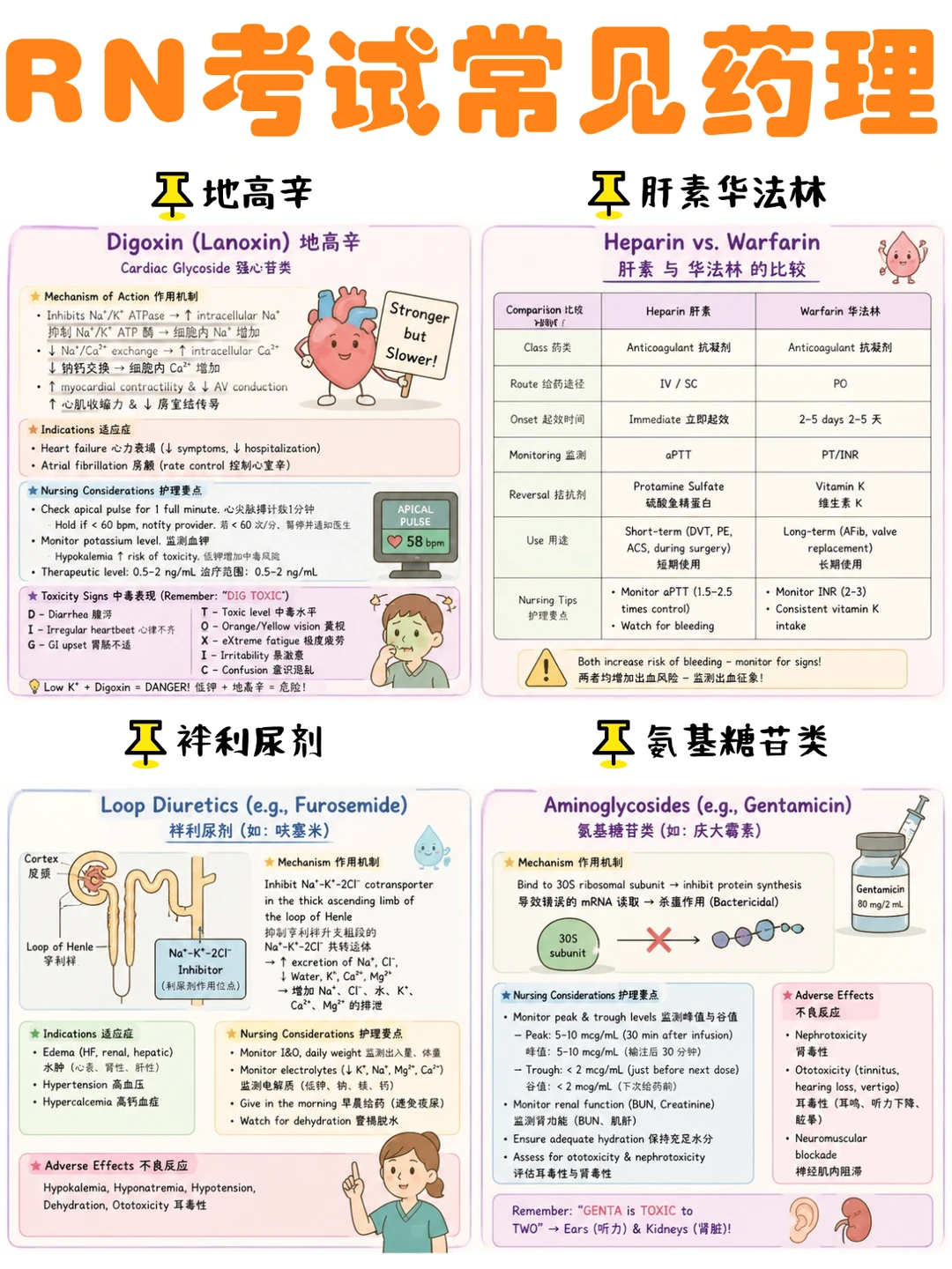 备考RN/常见药理考点！！学！！单词