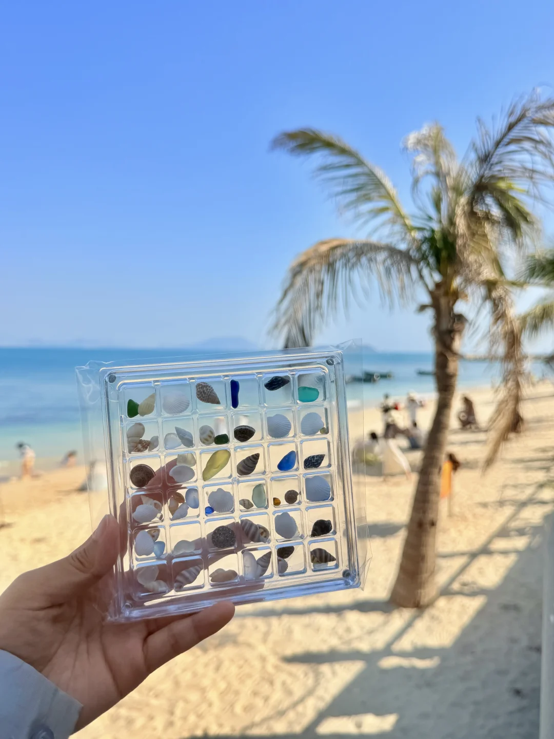 淡季三亚太香了🌴5天4晚懒人攻略建议照抄！