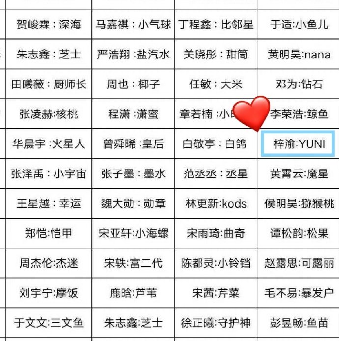 梓渝官方粉丝名YUNI含义揭晓，与渝相伴，奔赴往后漫漫旅途