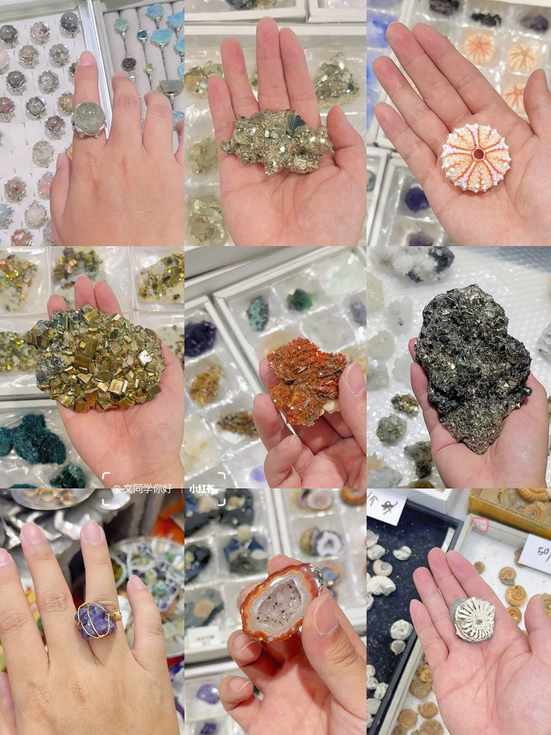 免费挖雨花石排队看恐龙💩南京你好陌生哦！