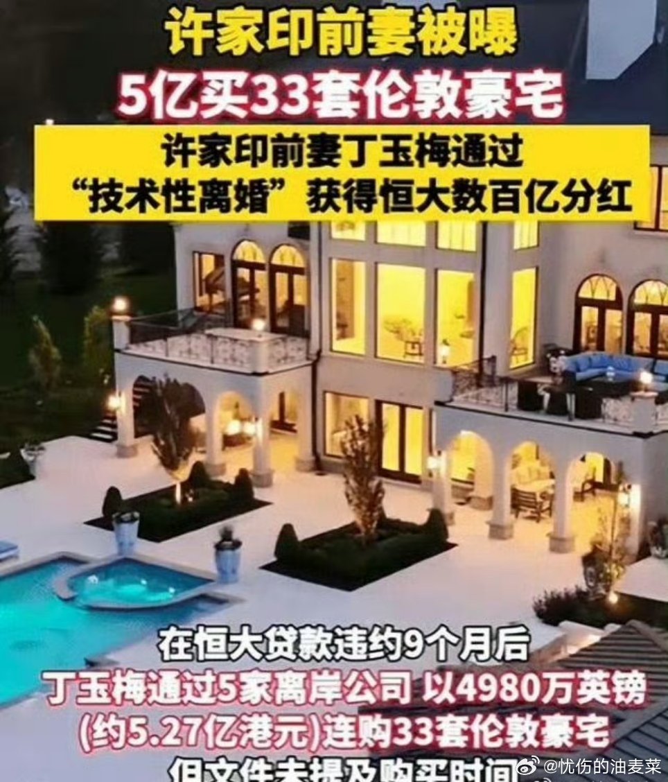 #许家印老婆 资产#
随着恒大系列案件一审落槌，许家印判处无期徒刑、没收个人全部财产，许智健、许腾鹤两名儿子获刑，前妻丁玉梅的境外巨额资产再次走进大众视野，揭开家族提前转移资产的操作路径 。
 
早年间，丁玉梅位列女富豪榜单，财富依托于恒大高速扩张时期高额分红、股息收益。危机爆发前，大量 ​