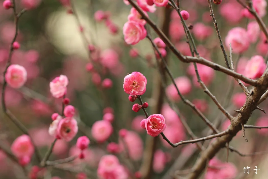 一键右滑寻找吃蜜的凶手