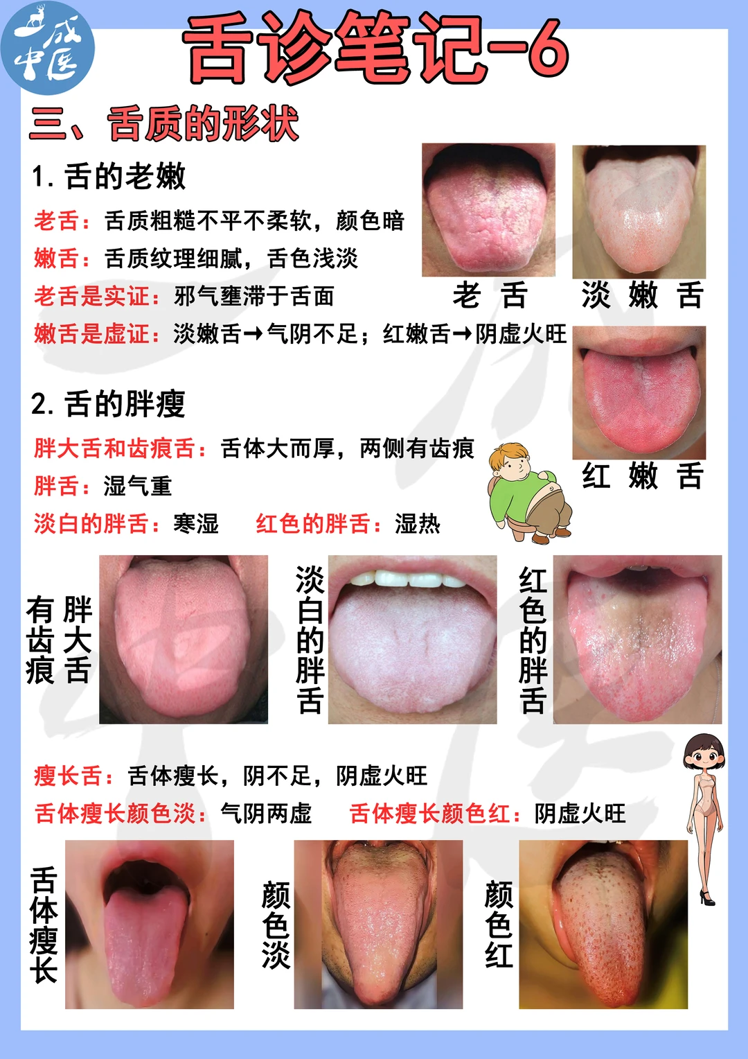 舌诊笔记-舌质的形状！6-8页