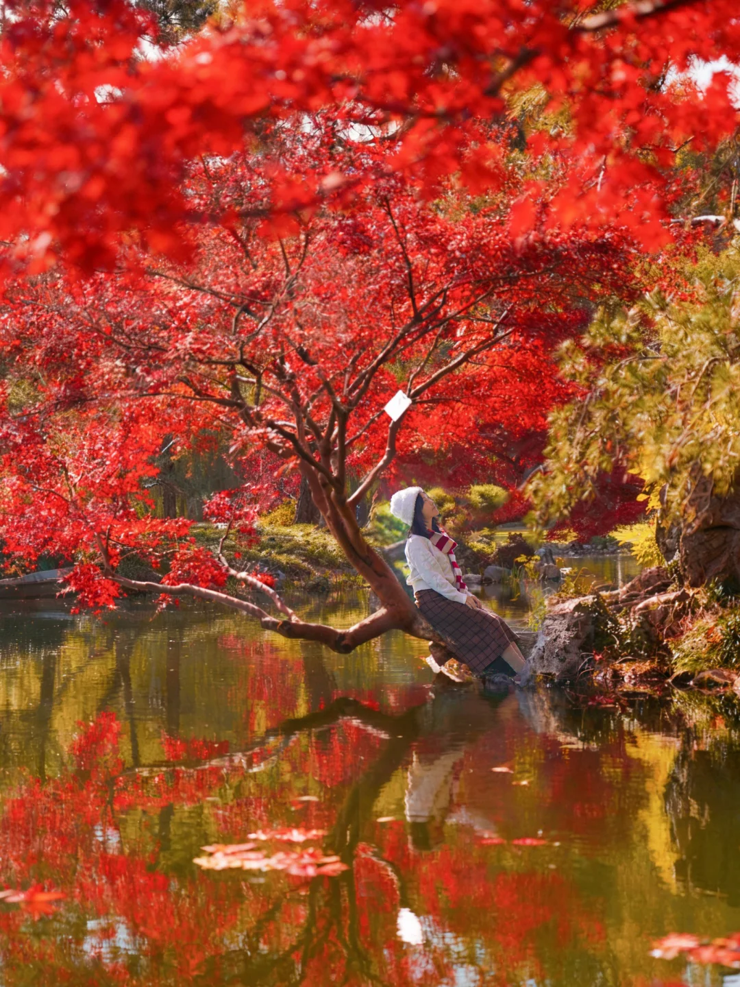 杭州最美秋景都是免费的🍂……爱回收