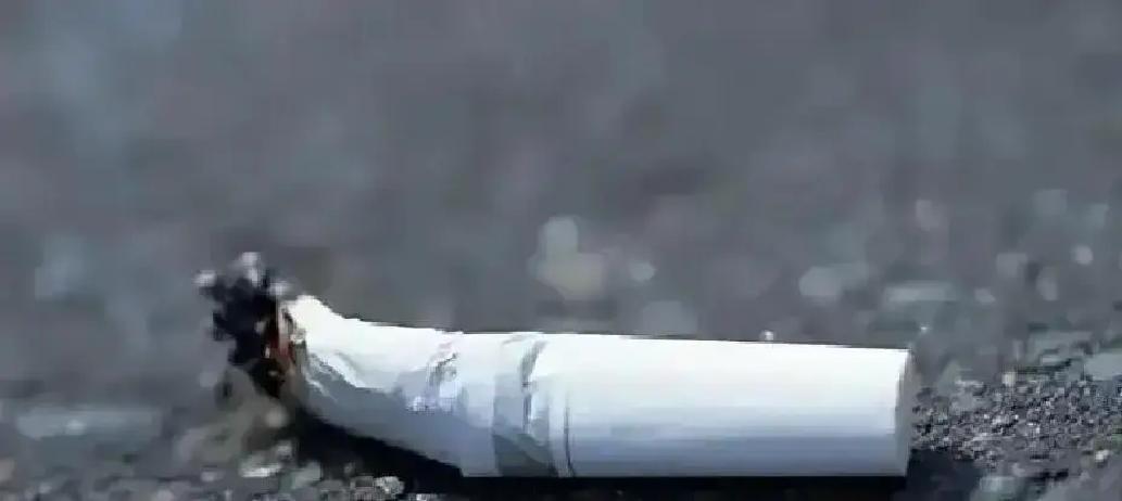 刘拴虎没去观礼台。他穿过人群回到值班室，把证物袋锁进铁皮柜最底层。烟头上的密码“203，7-3-9”已经破了——“203”是西郊砖窑第三座废弃窑洞，“7-3-9”指十月一日早七点三十分接应信号。敌人没等到信号，因为刘拴虎在六点半就把窑洞口那堆“废砖”挪开，挖出了埋在里面的发报机。

但他总觉得，线头