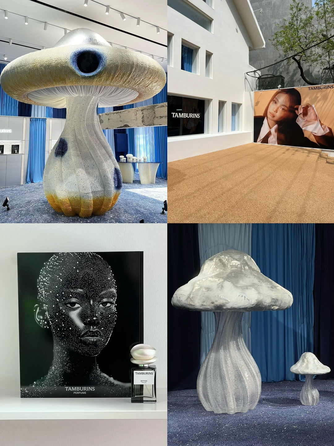 TAMBURINS的蘑菇展🍄‍🟫感受生命力的爆发🌱