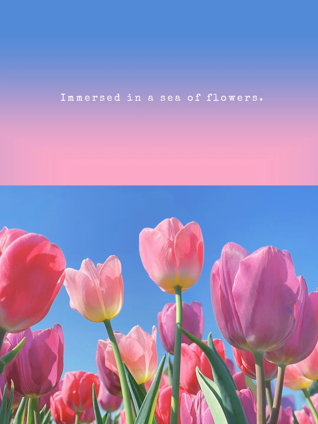 出片友好旅行 | Colorwalk🌷交换旅行的色卡