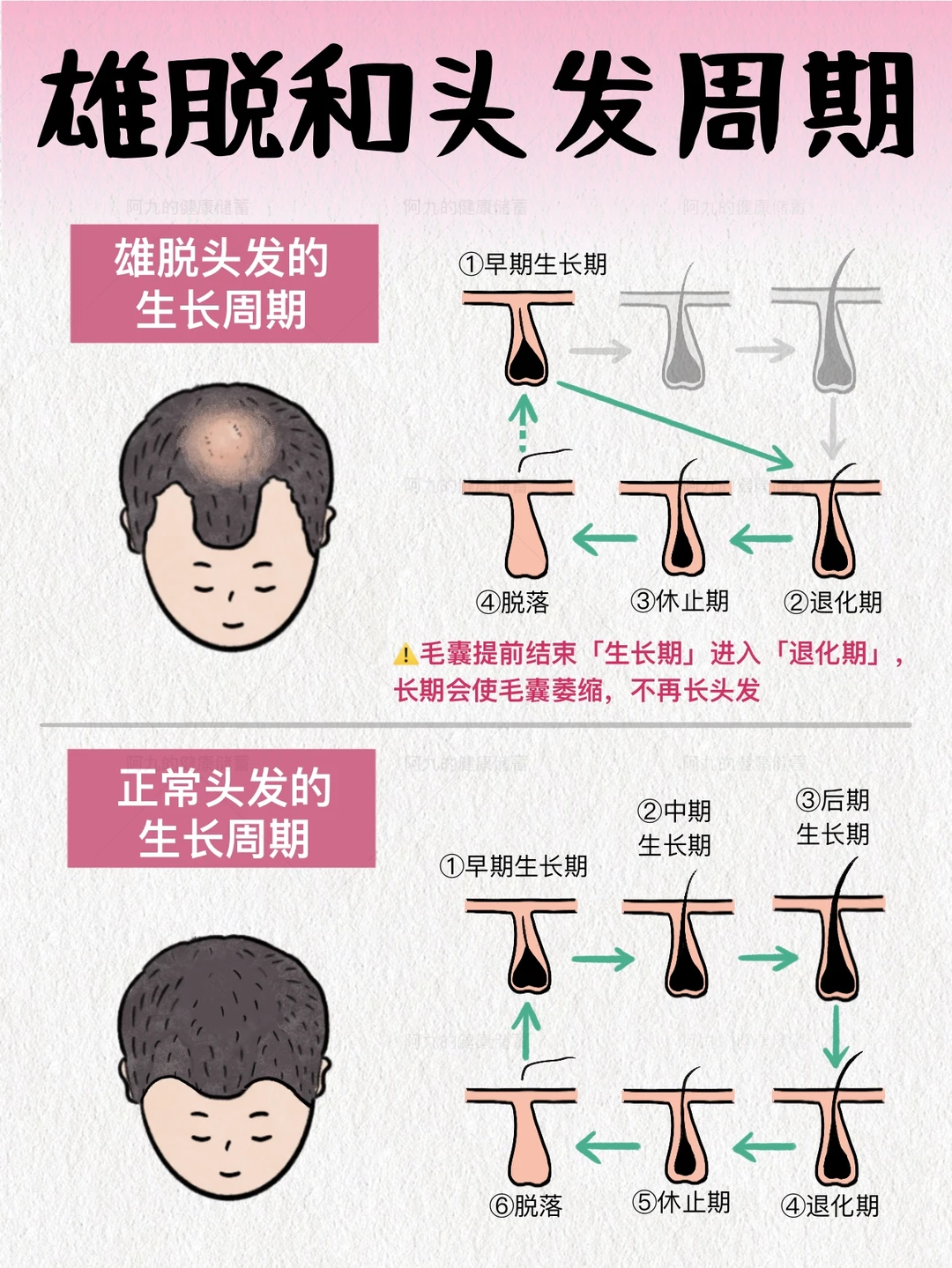 对象雄脱别慌‼️这个防脱新公式请收好！